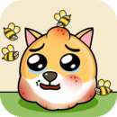 黄金圣斗士 玫瑰